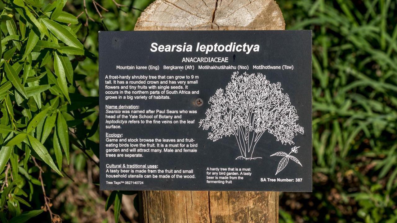Iketla Lodge Ohrigstad Bagian luar foto